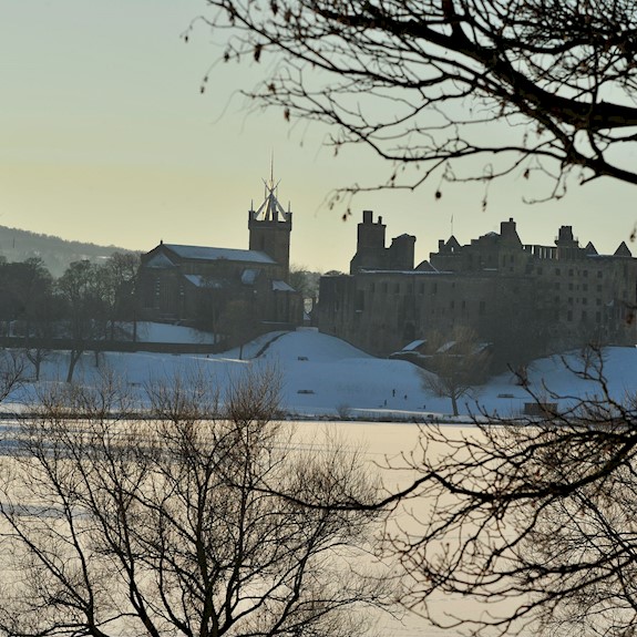 Sparse tree branches and a palace in the background with snow covered surroundings