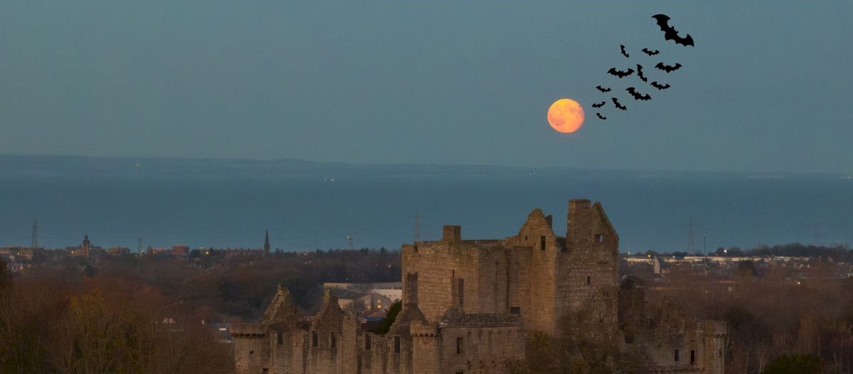 A yellow moon over a castle at night. There are bats flying away from the moon.