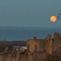 A yellow moon over a castle at night. There are bats flying away from the moon.