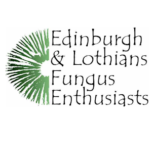 Edinburgh and Lothians Fungus Enthusiasts