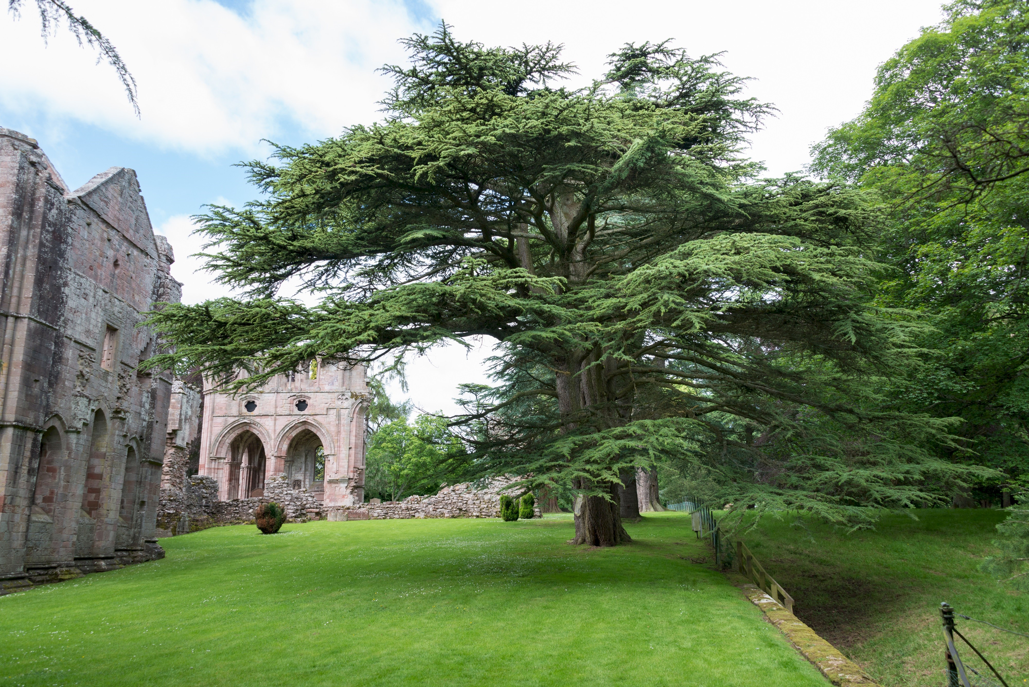 A photograph of a ruin surrounded by trees and parkland.