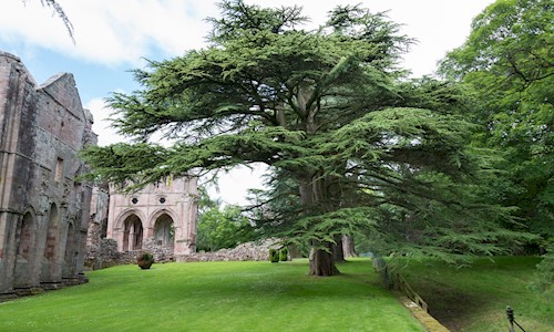 A photograph of a ruin surrounded by trees and parkland.