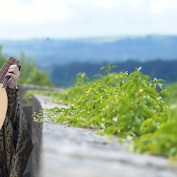 A man in period costume playing a lute while looking over a wall with lovely views of greenery and hills