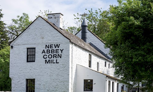 Exterior view of a white washed building that is New Abbey Corn Mill with green trees surrounding it