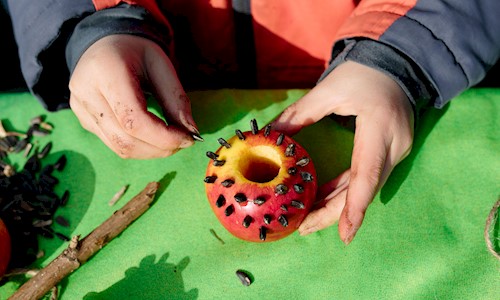 A young person piercing an apple with seeds