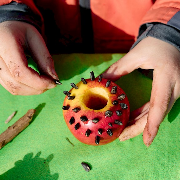 A young person piercing an apple with seeds