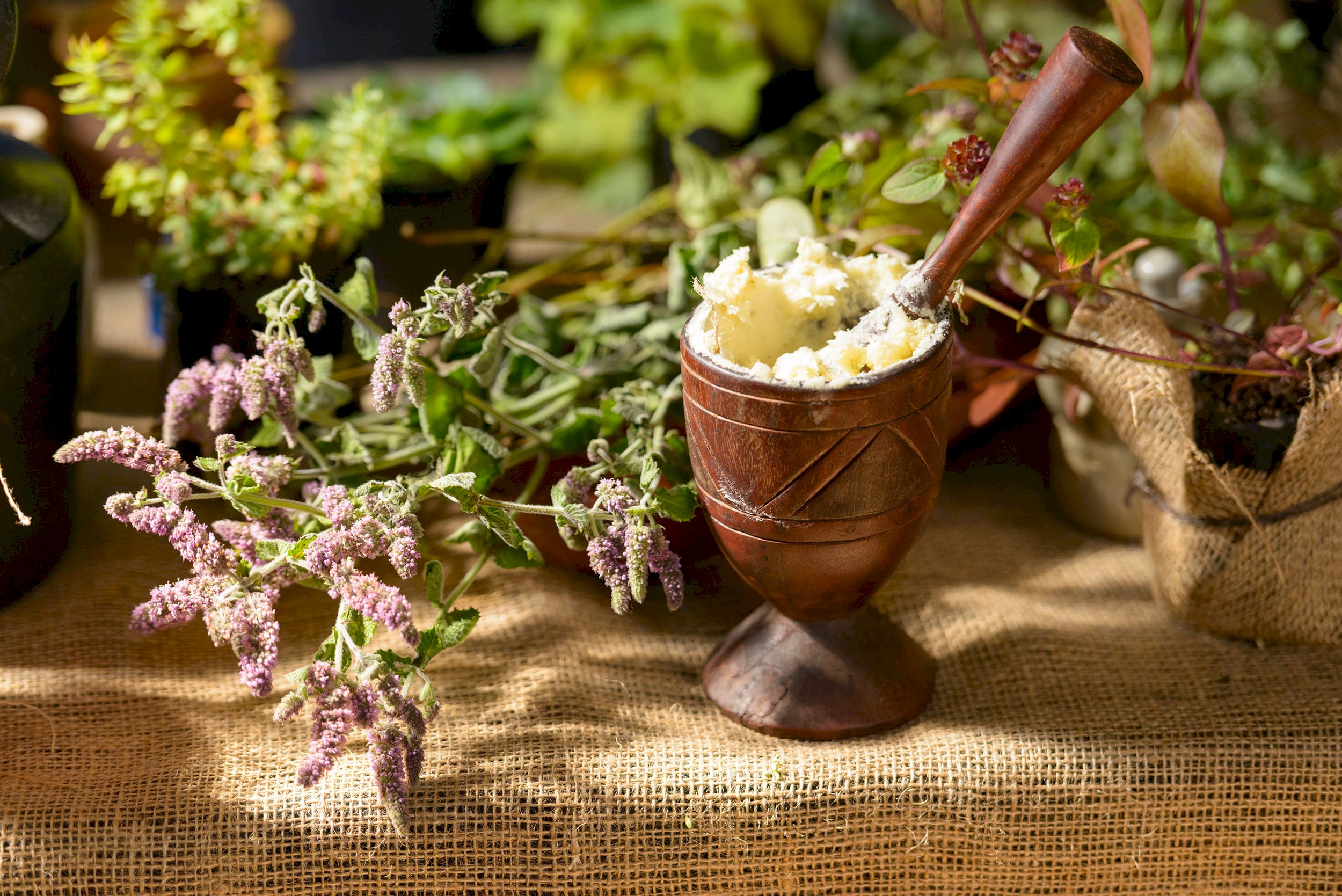Some flowers and herbs in a mortal and pestle