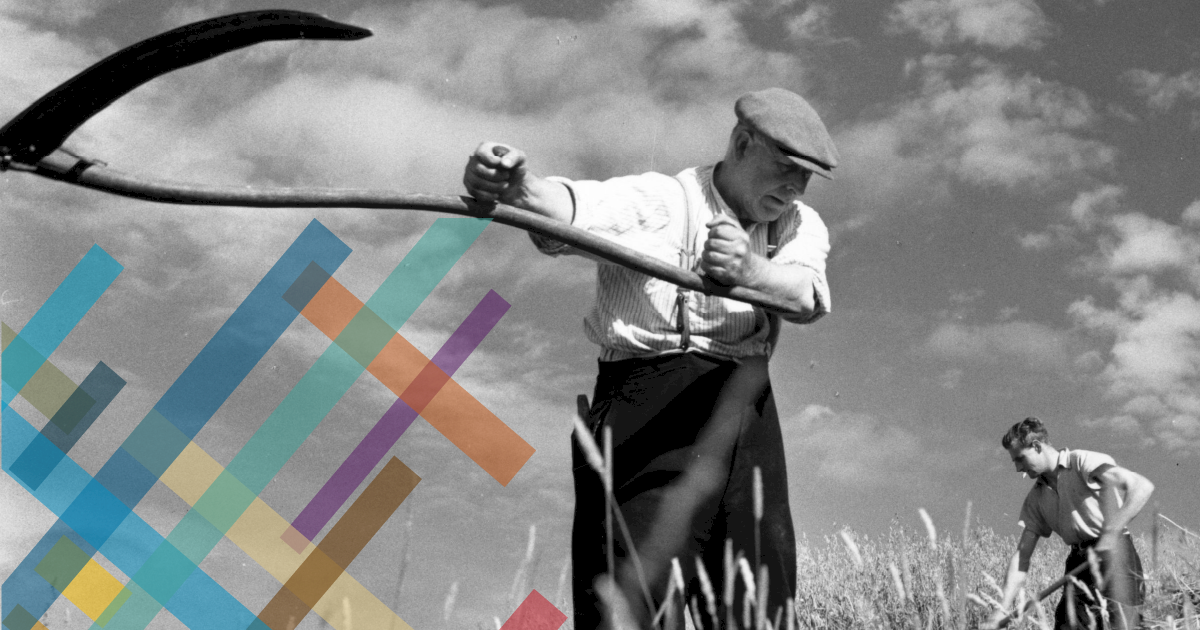 A black and white archive photo of two men working in a field