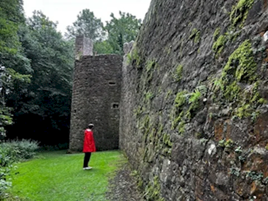 Person in red jacket standing in front of stone wall
