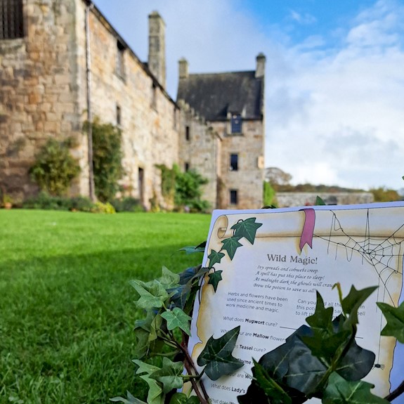 A sign on a grass lawn with ivy draped over it and a castle in the background