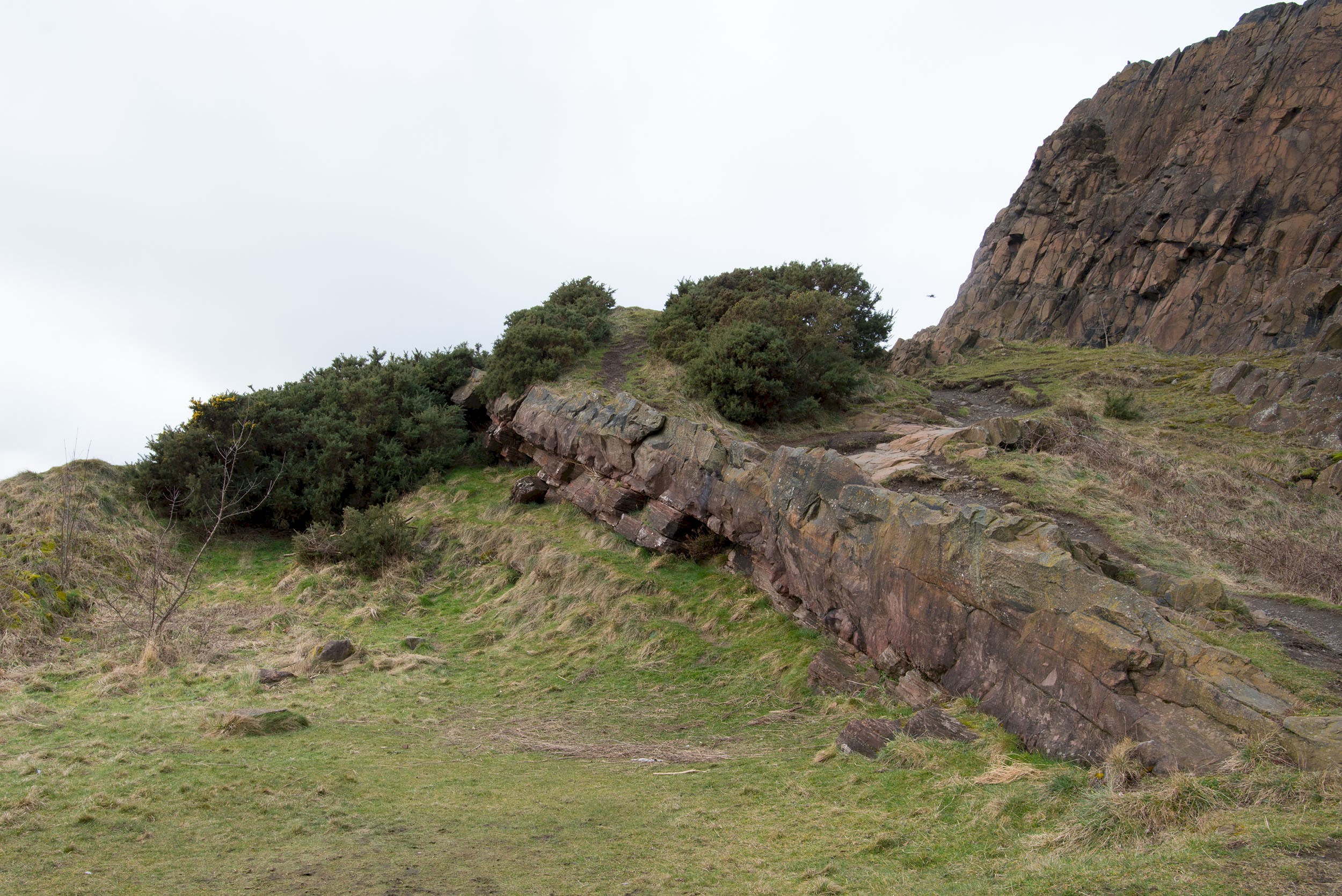 A view of sedimentary rock with some flora around it
