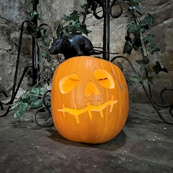 A pumpkin carved and lit for Halloween, on the ground of castle ruins