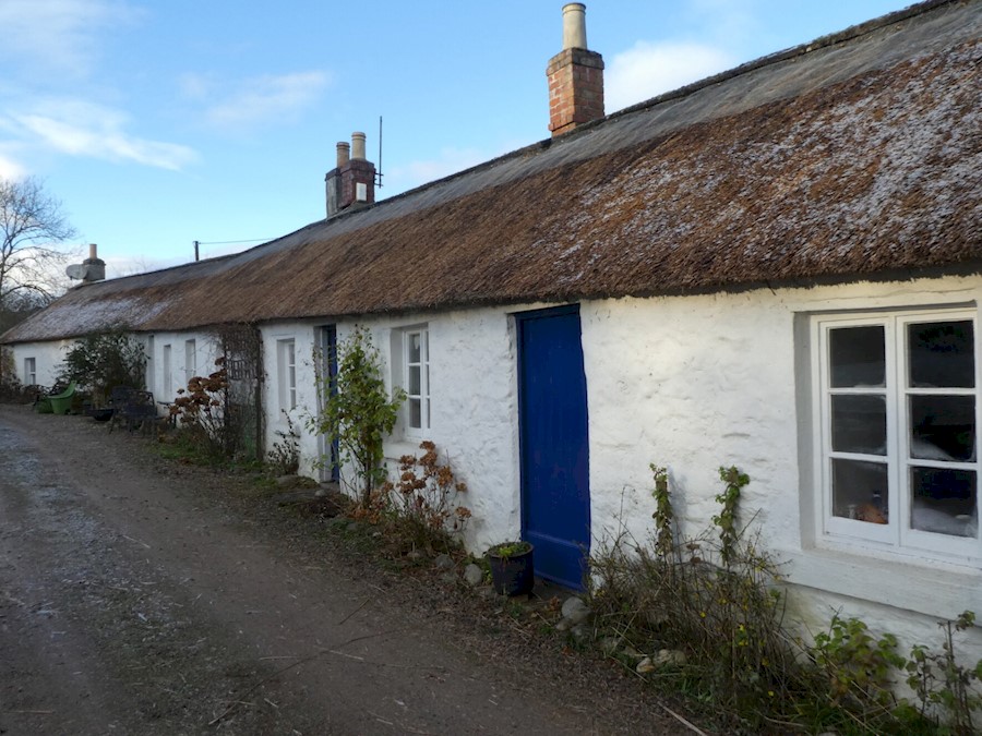 A row of whitewashed stone cottages with a long connected thatched roof. The doors of the cottages are blue, and they open directly onto a track road.